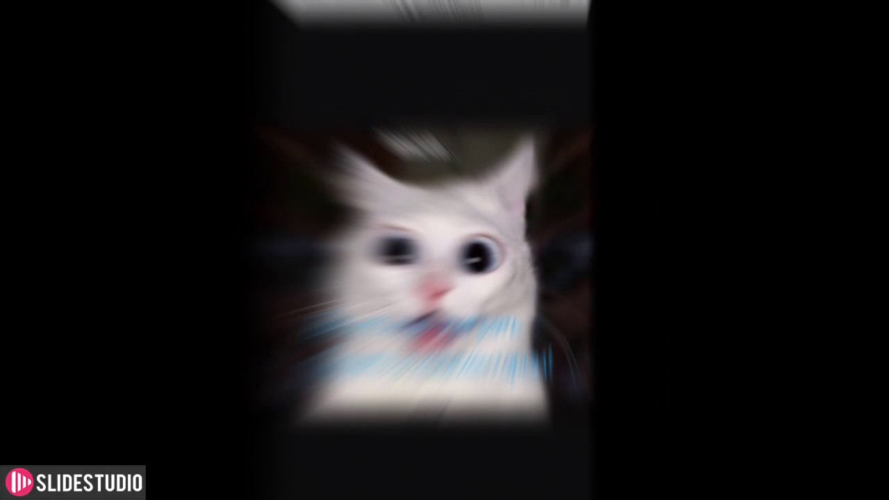 Made by SlideStudio on Appstore