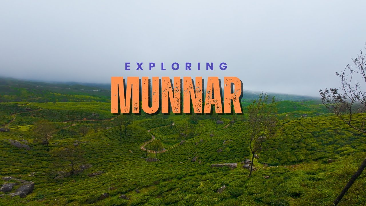 Things To Do In Munnar in One Day