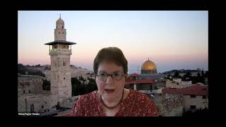 Celebrity "In My Mother's Footsteps: A Palestinian Refugee Returns Home" Book Launch with Mona Hajjar Halaby Profile