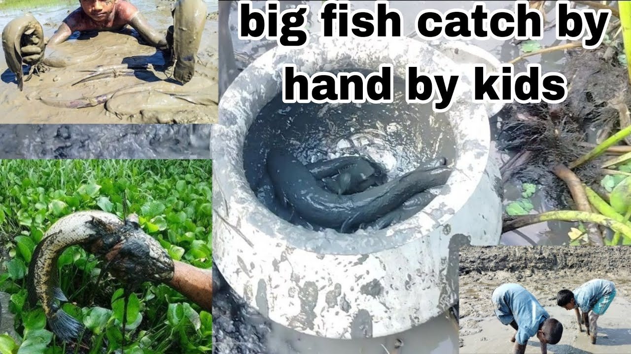 Big fish catch by hand.dengarous vedio,amazing fishing skill#fishing #trending #viralvideo #foryou
