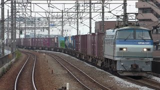 【JR貨】貨物列車  EF66-127 + コキ20車  72レ  (2024/11/16)