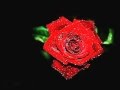 عبد رائد Bnos Shbat بنص شباط مجيد الرمح Wmv عبد رائد Bnos Shbat بنص شباط مجيد الرمح Wmv