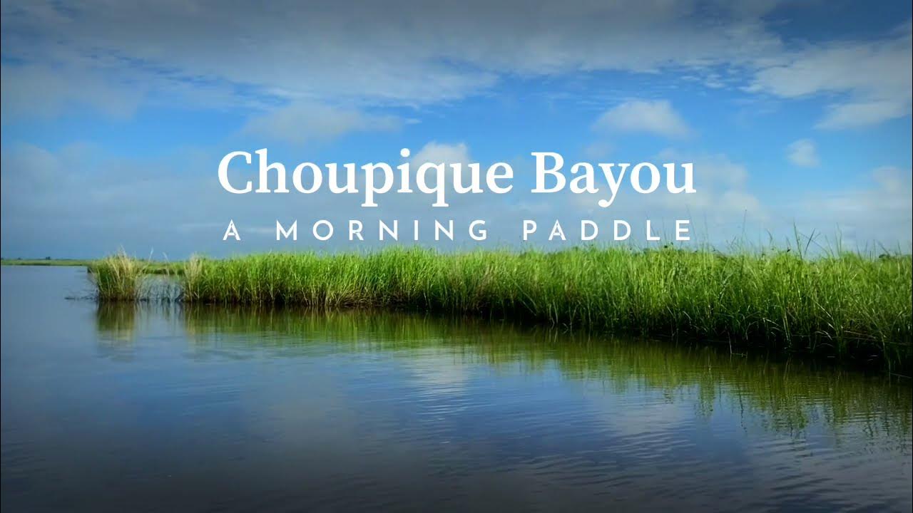 A Morning Paddle Choupique Bayou Carlyss, Louisiana YouTube
