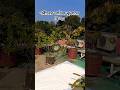শরীলে তাবিজ ঝুলাবেন না #shorts #viral #love #islamicvideo #quran #mizanur_rahman_azhari