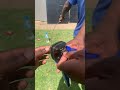 How to crimp MC4 Connectors #electrical #solarrepair #battery #learnsolar #solarconverter