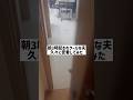 朝3時起きのクールな夫を久々に密着してみたら...#shorts