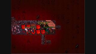 Tibia Banshee Quest Secura [Watch in HD]
