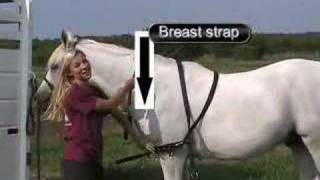 How to Hitch a Single Horse To Cart