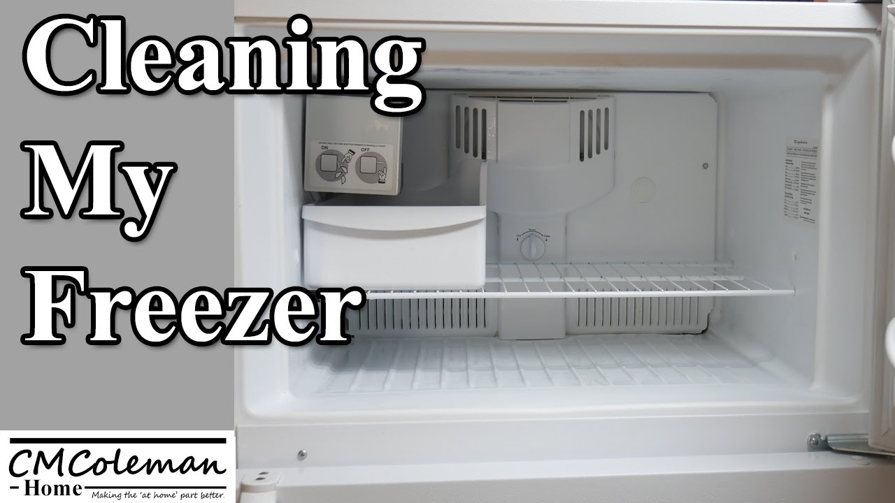 Clean Freeze Professional Freezer Cleaner, NL849