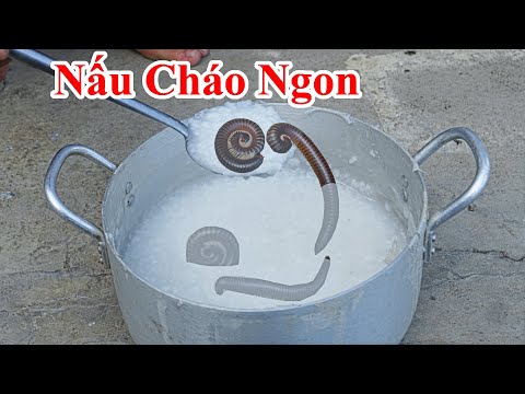 Cách nấu cháo trắng - Cách Nấu Cháo Thơm Ngon Buôn Bán Rất Nhiều Khách Đến Ăn / Bí Quyết Nấu Cháo Buôn Bán Đông Khách