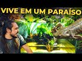 🔴O AQUATERRÁRIO ESTÁ CHEIO DE PLANTAS! |Mr. Betta|