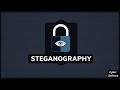 Master Steganography: Hide Your Data Secretly & Securely 🔒