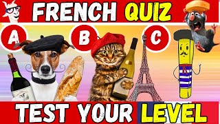 FRENCH TEST 😎 Funny Trivia Quiz Vocabulary 🎨 screenshot 2