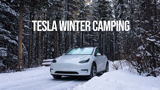 Tesla Winter Camping