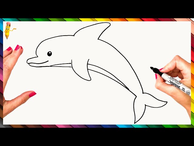 Dolphin Drawing Tutorial (Easy Step by Step Instructional) | TPT