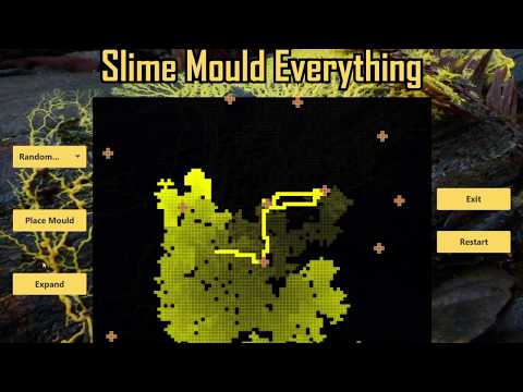 Slime Mould Simulation