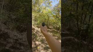 Caldwell Coffin steel target