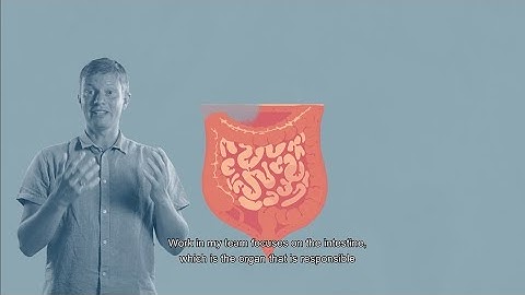 Our cellular fortress – Kim Jensen