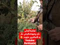 موتربەکردنی دار پەیوەندکردنی دار بە ئاسانترین شێوە  