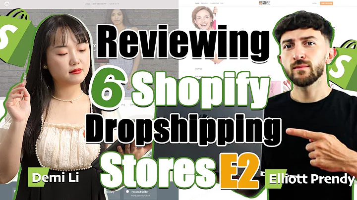 6 Shopify Dropshipping Store Reviews