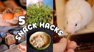 5 Must Know Snack Hacks For Hamsters