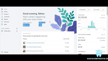 I Made $3000 Shopify Dropshipping Using Reddit Ads