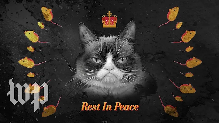 R.I.P. Grumpy Cat: Remembering the life and legacy of the most meme-able feline