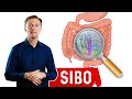 Small intestinal bacterial overgrowthsibo steals your nutrients  drberg