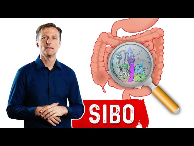 Small Intestinal Bacterial Overgrowth(SIBO) Steals Your Nutrients – Dr.Berg class=