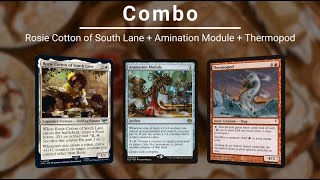 EDH COMBO: Rosie Cotton of South Lane | Animation Module | Thermopod