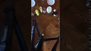 Celebrity Coriolis Carousel on a Lazy Susan Wealth