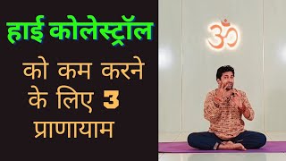 हाई कोलेस्ट्रॉल को कम करने के लिए 3 प्राणायाम | 3 Best yoga pranayamas to cantrol High cholesterol.