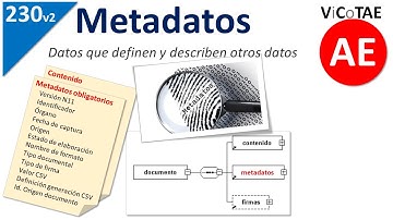 230v2 Metadatos en general. El concepto