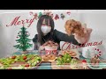 ハッピー??メリークリスマス!🎄.*