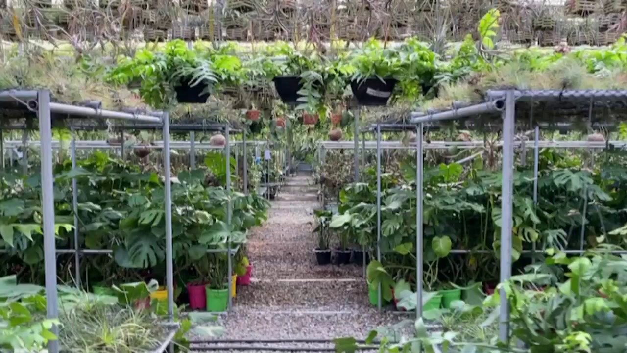 Greenhouse YouTube