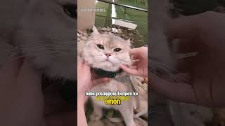 Emon Si Penemu Barang Barang Seru