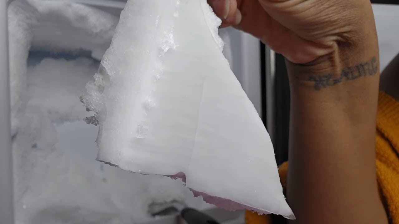 NEW VIDEO | 4 MONTH OLD FREEZER  BUILD | CRUNCHING OUT THE FREEZER | 