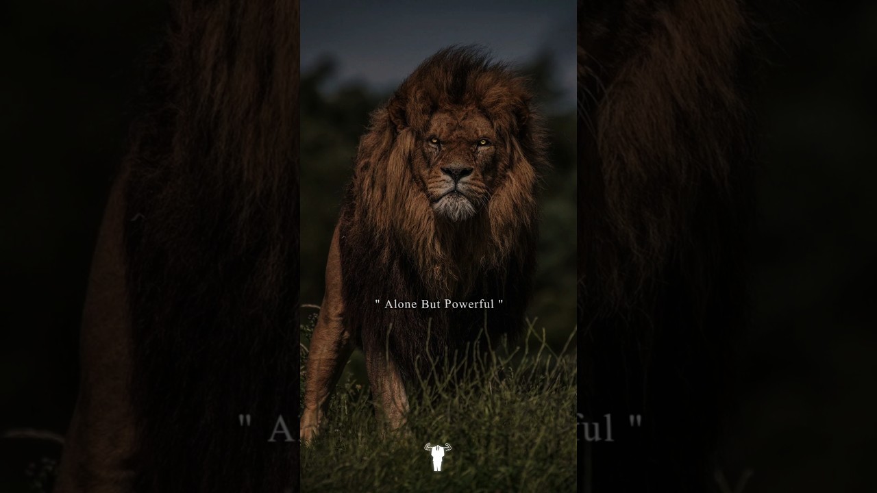 animals tech everything  