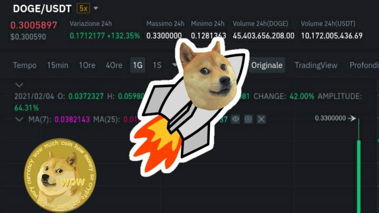 live DOGECOIN to the moon DOGE/usdt DOGE/eur [ITA] - YouTube