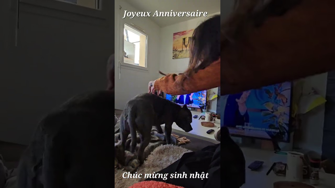 Happy Sunday, January 18th, 2026 ❤️ 