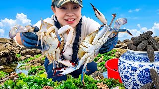 Xiao Zhang Strikes It Rich Foraging the Tides—Valuable Treasures Hidden Inside an Antique Jar