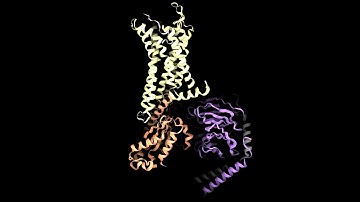 Apelin Receptor (APLNR) - Protein of the month - April 2025