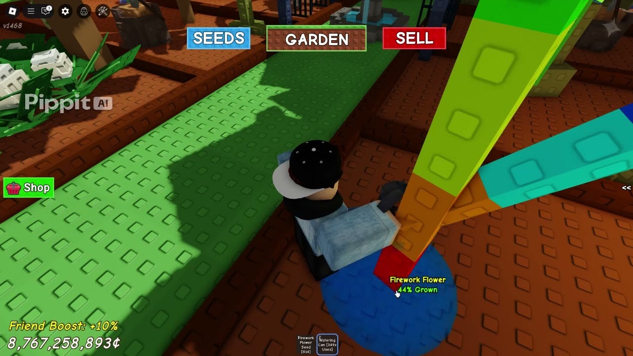 Planting Firework flower 