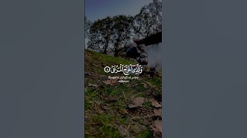 عبدالرحمن مسعد سورة الأعلى Abdulrahman Mosad Surah Al A'la