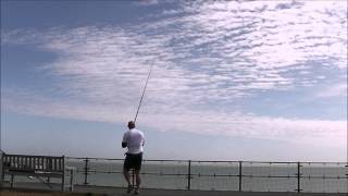Zziplex TRC Pendulum slow-mo