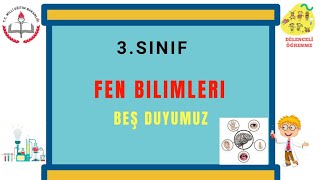 3.Sınıf Fen Bilimleri Beş Duyumuz