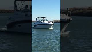 IMG 3966 1