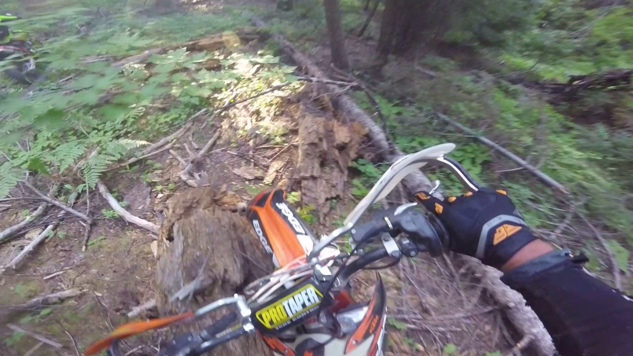 Idaho Single Track near Cascade Bull Creek