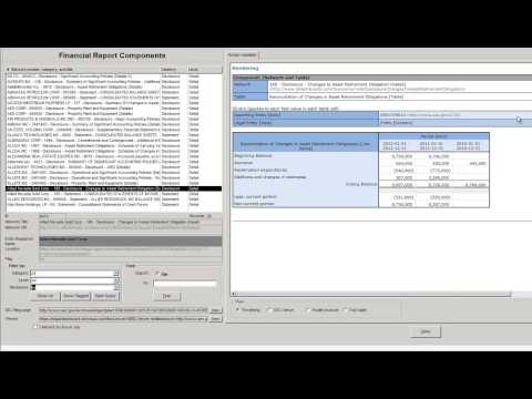Querying Disclosures of SEC XBRL Financial Filings