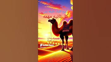 #إسلام_صبحي #اكسبلور #المصحف #تلاوة_خاشعة #duet #الرحمن #تلاوة_هادئة #ترند #القزابري #اكسبلور
